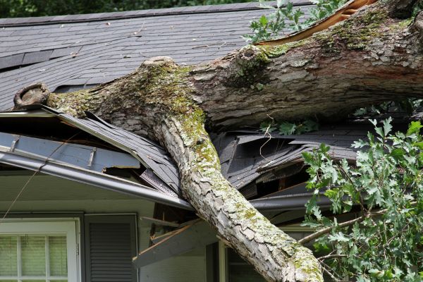 Storm Remediation in Mcdonough