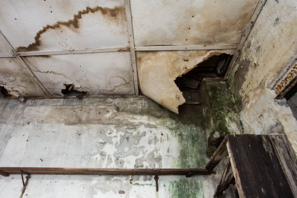 Water Damage Service in Mcdonough