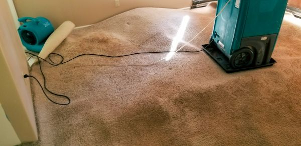 Carpet Water Extraction in Mcdonough