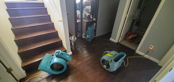 Water Damage Remediation in Mcdonough