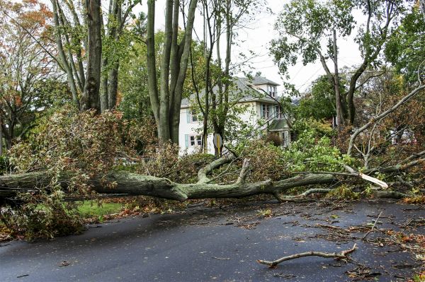 Tornado Damage Repair in Mcdonough