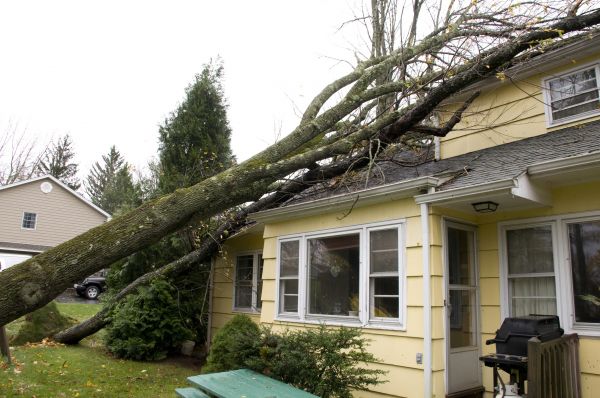 Storm Damage Mitigation in Mcdonough