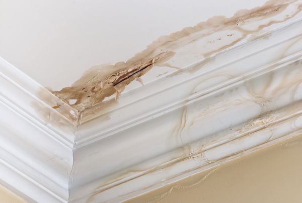 Water Damage Recovery in Mcdonough